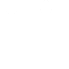 custom_website